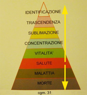 Categorematica la scienza delle categorie cognitive